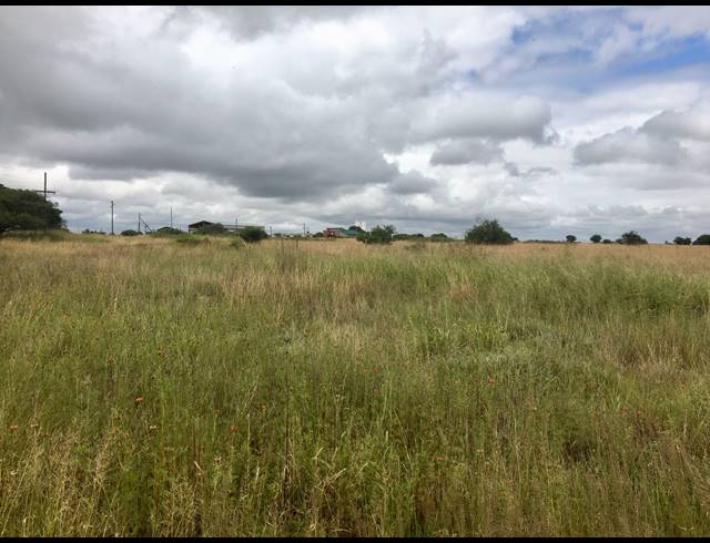 8HA FARM FOR SALE IN DEBRON